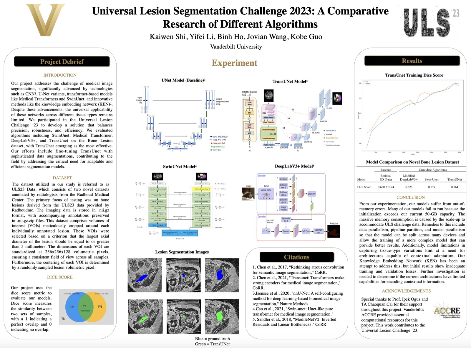 Preview of the Universal Lesion Segmentation Challenge 2023 project